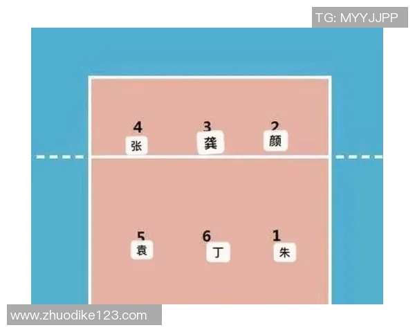从零基础到高手之路:全面提升排球灵活性的实用指南 从零基础到高手之路:全面提升排球灵活性的实用指南
