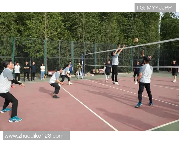 西安排球队荣登排球团队协作排行榜首位展现卓越团队精神与默契配合 西安排球队荣登排球团队协作排行榜首位展现卓越团队精神与默契配合