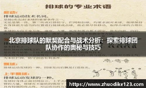 北京排球队的默契配合与战术分析：探索排球团队协作的奥秘与技巧